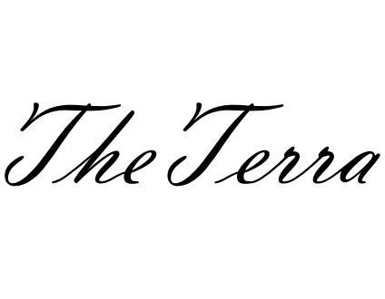 TheTerra Ceramic Dinnerware Sets for 4 – product image